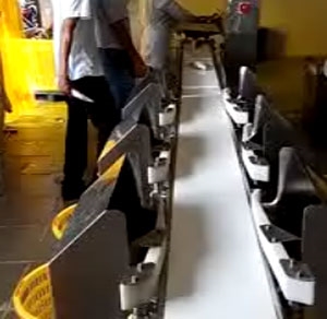 鯧魚重量分揀機(jī)
